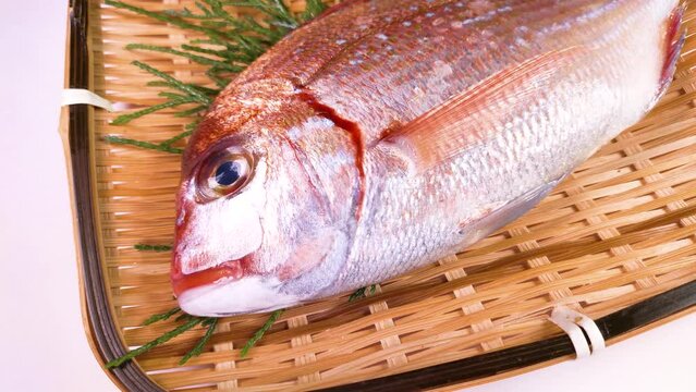 ザルの上の小鯛　回転