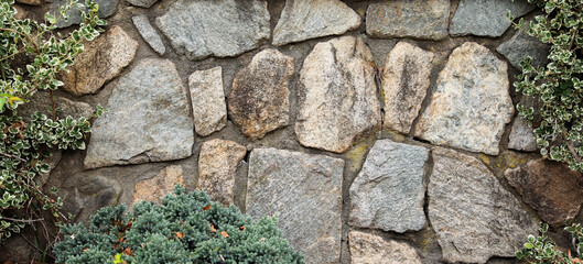 textured stone wall, a symbol of strength and resilience, with natural light casting captivating shadows