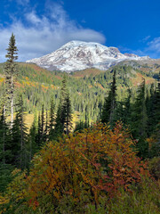 Mount Rainier on a beautiful sunny day with fall colors - 669310838