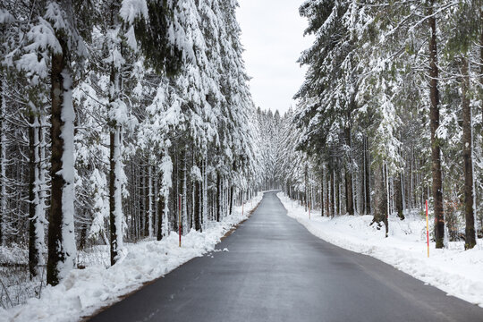 Vanishing Point Empty Asphalt Road trough a Winter Snow Coniferous Forest Wilderness