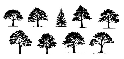  Tree silhouettes collection