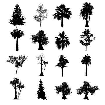 A selection of various tree silhouette icon shapes. Fully scalable and fillable to your needs.