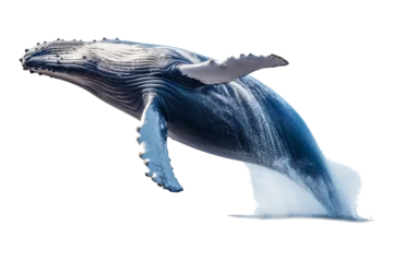 Foto op Canvas whale isolated on a transparent background, humpback whale jumping out of the water isolated. Generative AI © Breyenaiimages