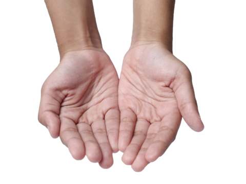 Little kid hands holding together, receiving gesture, cut out isolated
