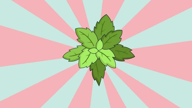 Animated mint leaf icon with a rotating background