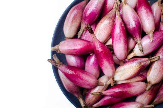 Bromelia karatas fruits known as pi&ntilde;uela. It is edible and is used to cook a delicious atole.