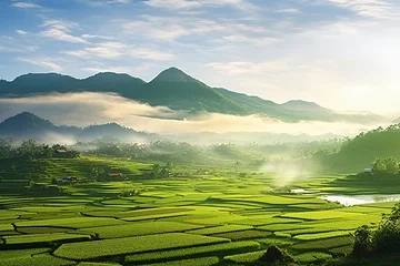 Foto op Aluminium Beautiful morning Panorama Landscape paddy field © cong