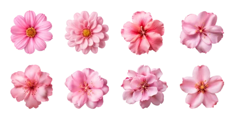 Poster Im Rahmen Collection of various pink flowers isolated on a transparent background © degungpranasiwi