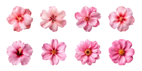 Tuinposter Collection of various pink flowers isolated on a transparent background © degungpranasiwi