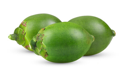 Fresh betel nut isolated on transparent png