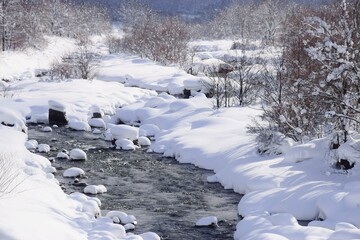 雪国の朝　冬の朝の風景	