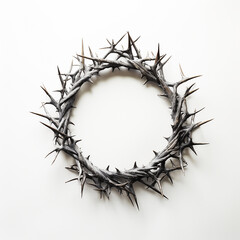 Fototapeta premium The Crown of Thorns