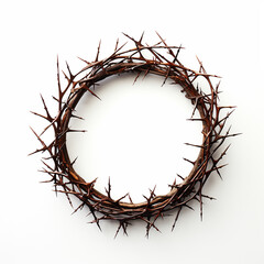 The Crown of Thorns