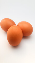 CHICKEN EGG WITH WHITE BACKGROUND