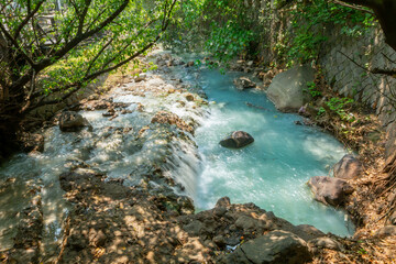 Obraz premium Beautiful nature river water from outdoor waterfall, slow flowing stream with rock and green tree in forest mountain no people tranquil, flowing water scenic landscape environment park in summer