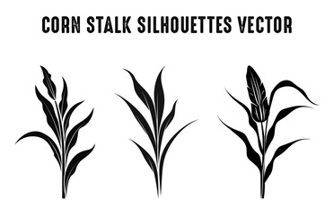 Corn Stalks Vector Silhouettes Set, Barley Grain Cornstalk Silhouette Bundle