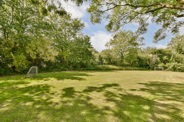 a backyard with trees, grass and a soccer goal in the yard is surrounded by lush green foliage on a sunny day