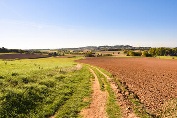 Obraz premium View on the Kemmelberg, Heuvelland, Belgium