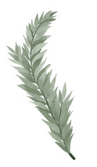 Naklejka premium Watercolor Greenery leaf hand drawn illustration