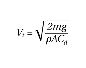 Terminal Velocity Formula on the white background. Education. Science. Important Physics Formula. Vector illustration.