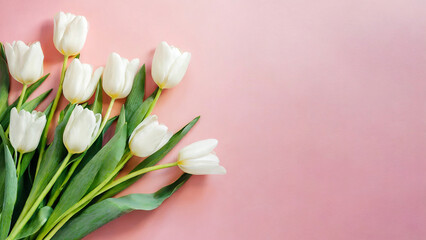 bouquet of white tulips on pink background