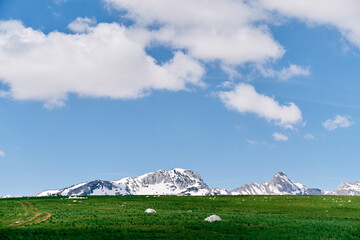 Bright green plain against the backdrop of snow-capped mountains