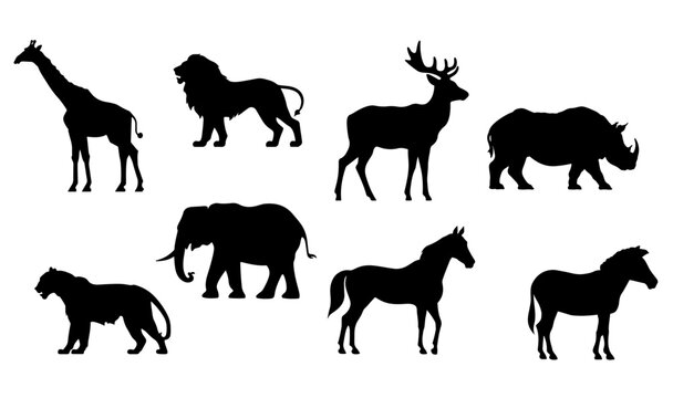 animal wild african Silhouettes Vector collection