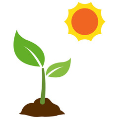 Vector illustration of plant photosynthesis icon sign and symbol. colored icons for website design .Simple design on transparent background (PNG).