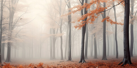 Autumn misty fog woodland forest mist wide background banner, generated ai