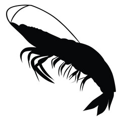 shrimp illustration, beach shrimp,ready-to-eat shrimp,multi-legged shrimp,tail tail shrimp