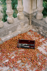 Open case with a clarinet lies on the stone terrace of an old building among dried buds
