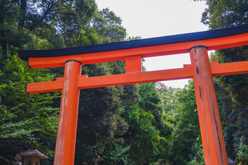 A historic world heritage site located in the center of Nara【Kasugataisha Shrine】