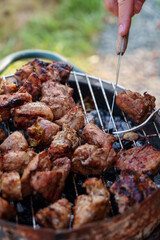 Cooking shashlik on a barbecue.