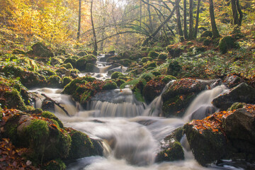Scène automnale: la cascade de Brisecou en Bourgogne près d'autun dans la forêt aux couleurs de...