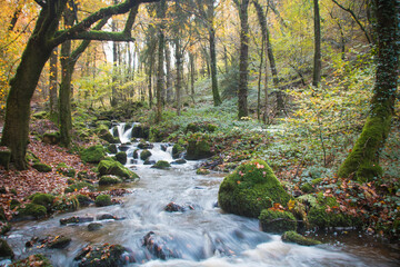 Scène automnale: la cascade de Brisecou en Bourgogne près d'autun dans la forêt aux couleurs de...