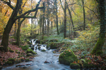 Scène automnale: la cascade de Brisecou en Bourgogne près d'autun dans la forêt aux couleurs de...
