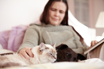 Cat, dog and woman relax in bed together with love, care and happiness in home. Pet, animals and person stroke the fur of a kitten and reading a book in bedroom of house with comfort and support