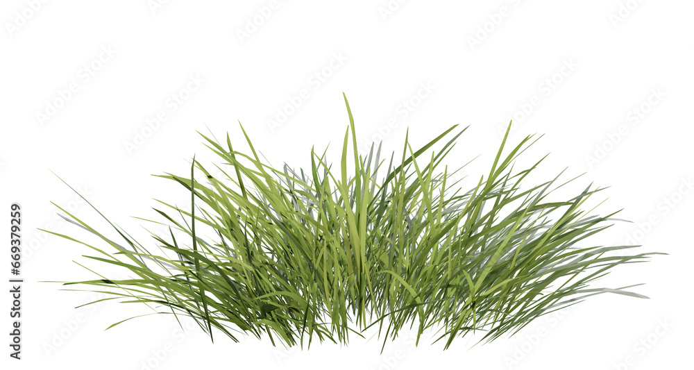 Poster bunches of grass on a transparent background. 3d rendering.