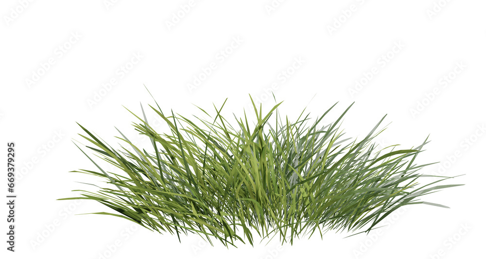 Poster bunches of grass on a transparent background. 3d rendering.