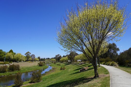 Idyllic Spring Landscape by the Banks of the Apsley River in Walcha, New South Wales, Australia