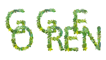 word or symbol of Go Green made from various kinds of leaves isolated on transparent background, suitable for template go green concept, PNG