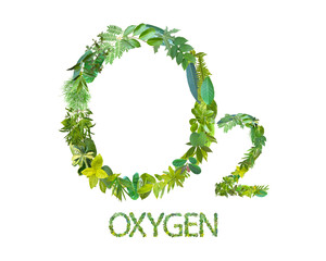 word or symbol of O2 or oxygen made from various kinds of leaves isolated on transparent background, suitable for template go green concept, PNG
