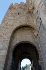 Details from San Martin's bridge in Toledo, Spain