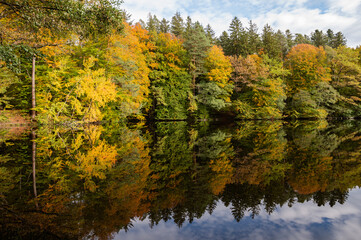 Autumn Trees Reflecting On Lake scenic view of colorful