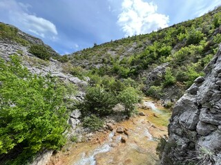 The river Bijela voda or Bijeli Stream in a rugged canyon at the foot of the Przun hill, Karin Gornji - Croatia (Rijeka Bijela voda ili Bijeli potok u krševitom kanjonu podno brda Pržun - Hrvatska) - obrazy, fototapety, plakaty