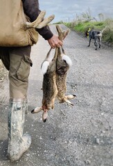 Hunter and his dog with dead hares after the hunt