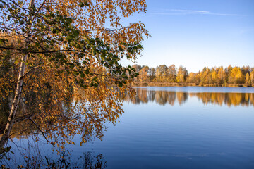 Autumn landscape with a pond. Trees with yellow foliage are reflected in the water.