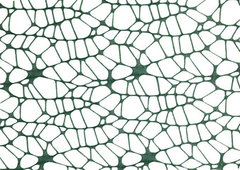 Obraz premium Halloween cobwebs closeup isolated on a white background