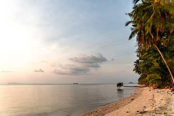 Fototapeta na wymiar Beautiful tropical island beach, blue sky and palm trees - Thailand