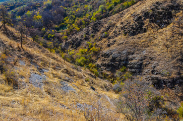 walnut forest and rocks on scenic hills near Karankul in autumn (Tashkent Region, Uzbekistan)